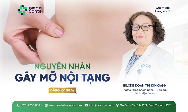 내장 지방의 원인