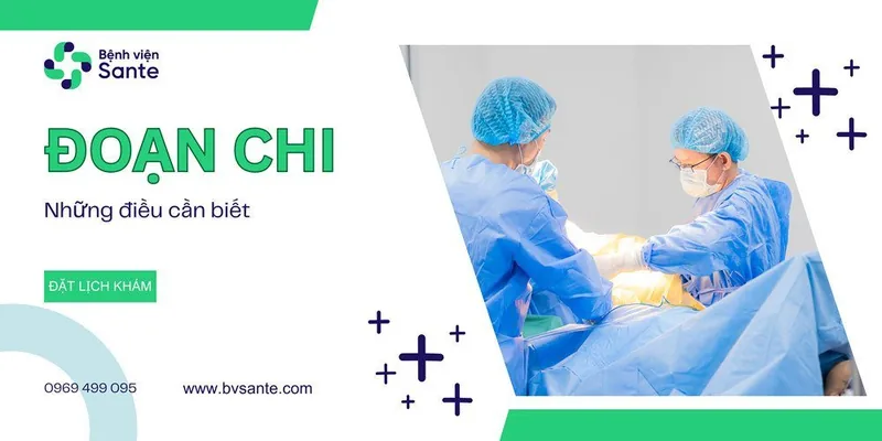 Bệnh viện Sante - Đoạn chi là gì? Bệnh viện Sante - Đoạn chi là gì?