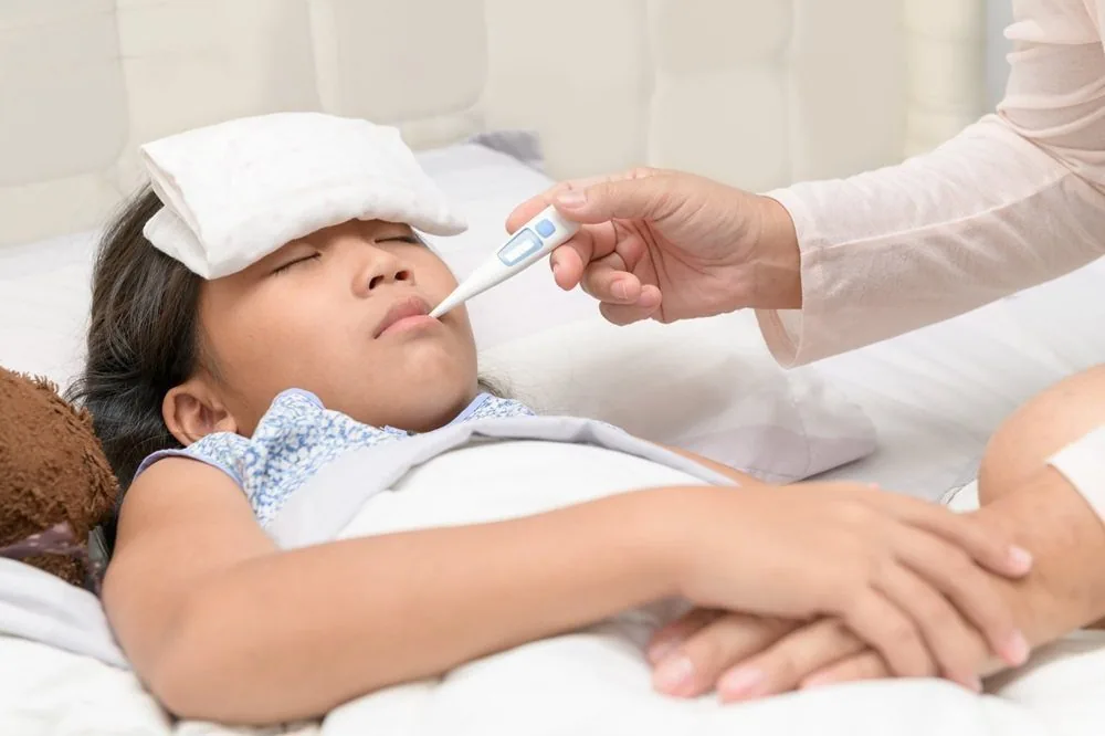Bệnh viện Sante - Bệnh sốt xuất huyết (Hình 3)