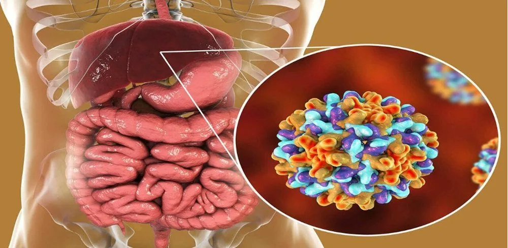 Bệnh viện Sante - Viêm gan virus B: Đường lấy truyền và cách phòng ngừa (Hình 2)