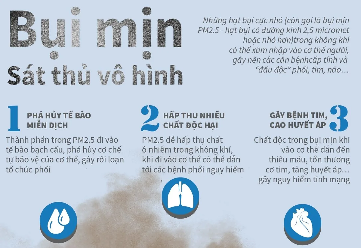 TÁC HẠI CỦA BỤI MỊN ĐẾN SỨC KHOẺ CON NGƯỜI - Hình 2 - Bệnh viện SANTE Bình Thạnh, TP.HCM