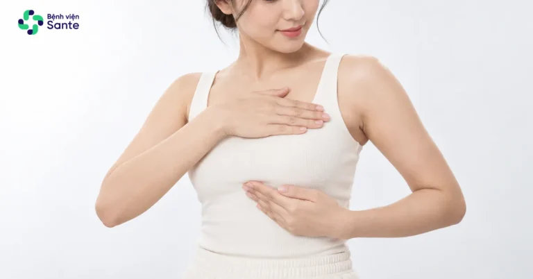 Nội Tiết Tố Suy Giảm Có Làm Ngực Nhỏ Đi? Sự Thật Y Khoa